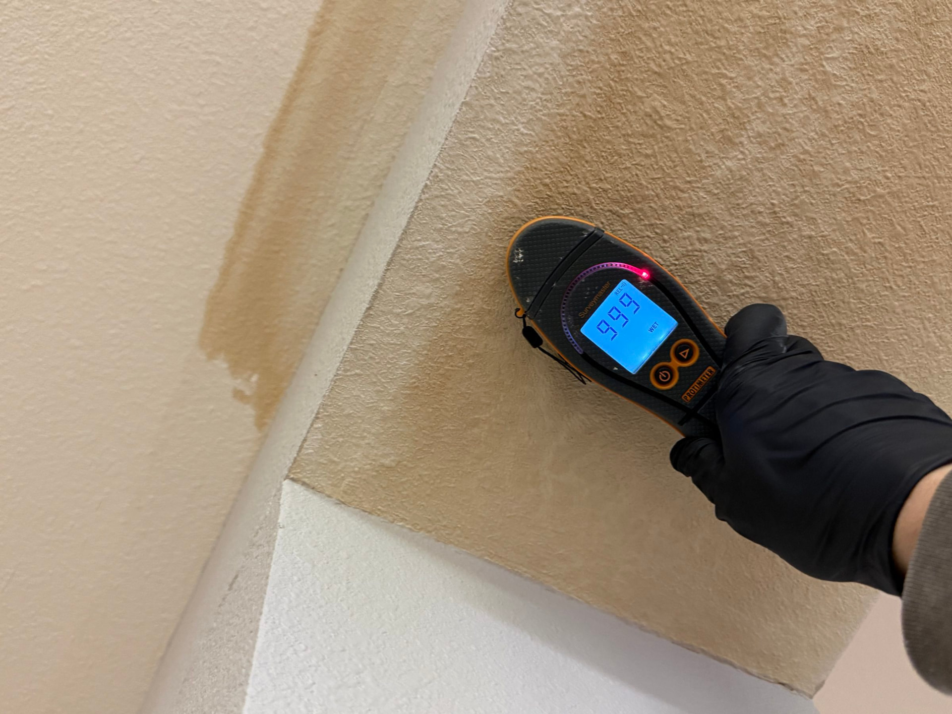 Technician in gloves checking a wall with a digital moisture meter
