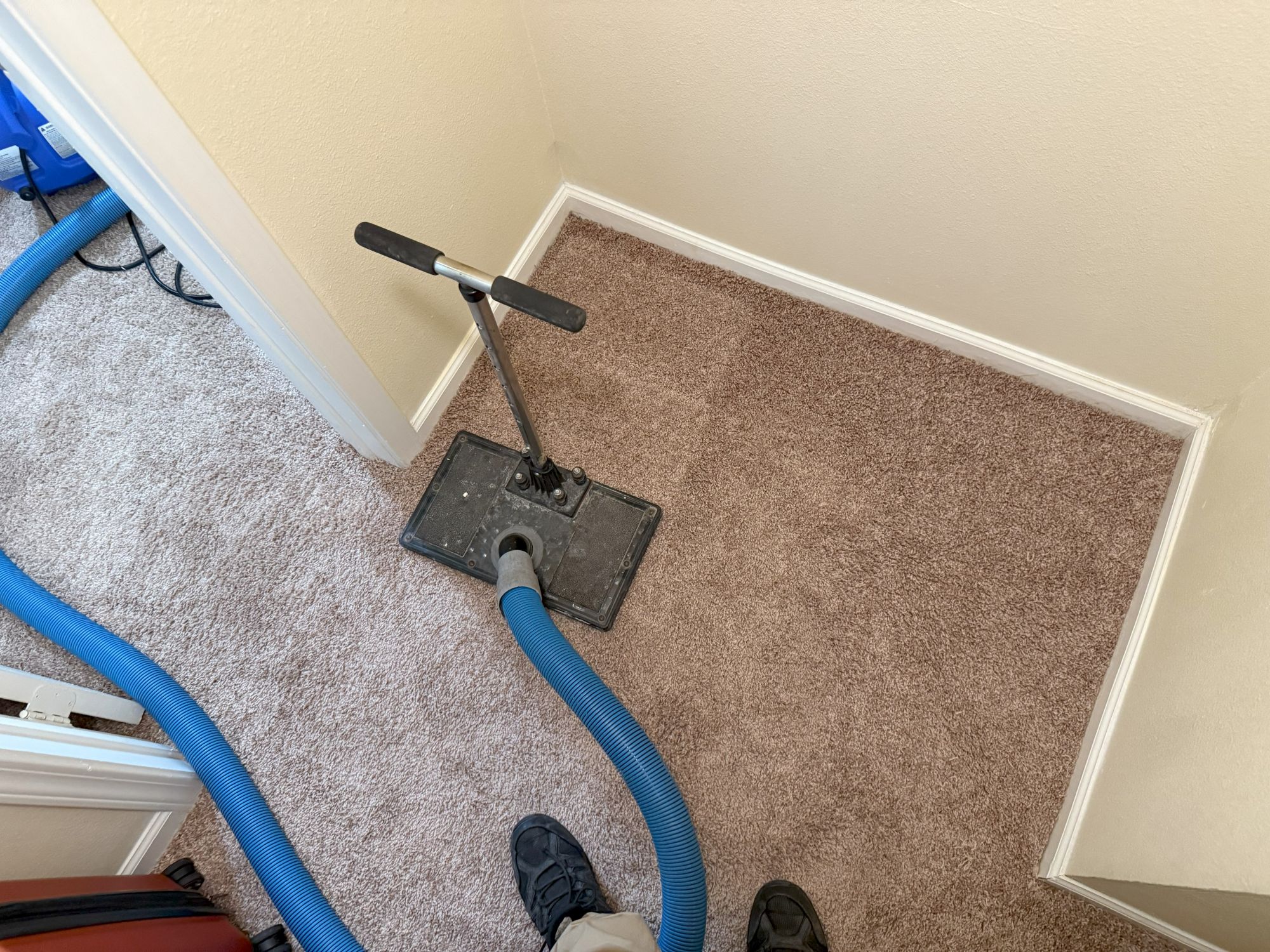 Technician extracting water from soaked carpet with a water claw extraction tool