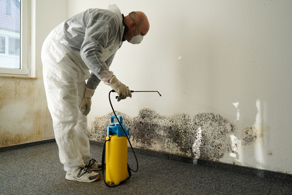 Technician in protective suit treating mold on a wall with antimicrobial spray