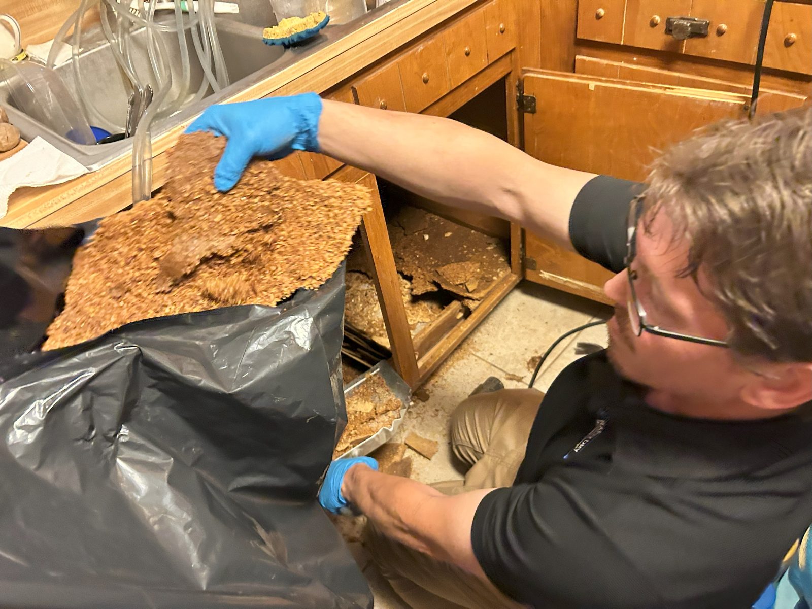 Technician clearing water-rotted subfloor from beneath a sink into a bag